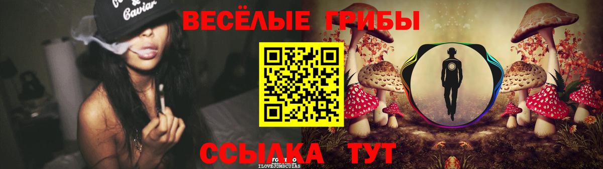Галлюциногенные грибы мицелий  Псилоцибиновые грибы GOLDEN TEACHER  Самара  Вход с VPN 